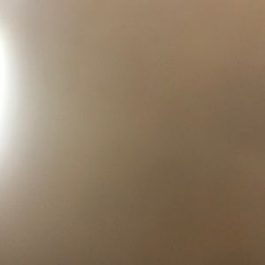 Meet your Posher, Jayla